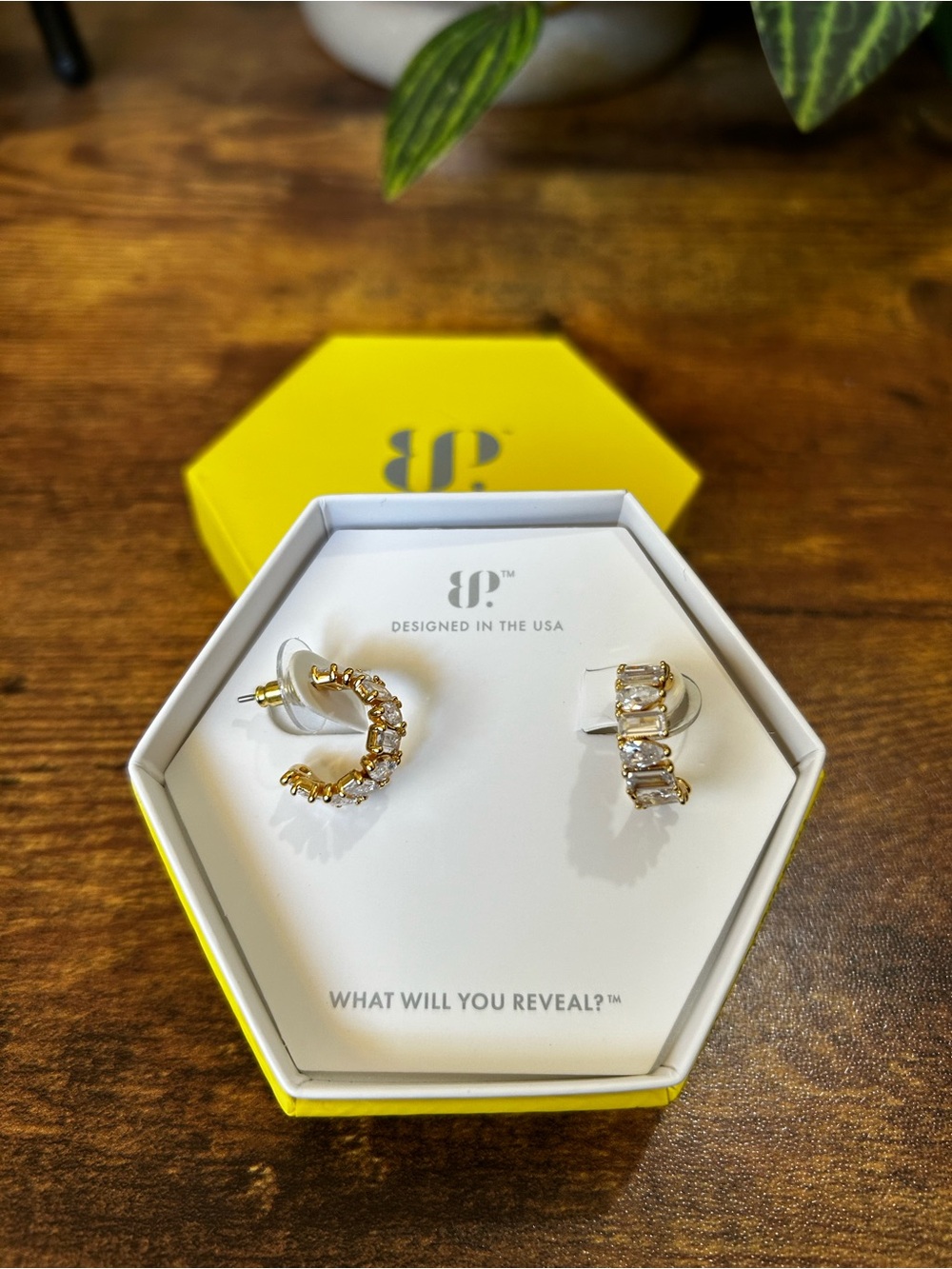Bomb Party OG “The Valentina Earrings” Gold & CZ Hoop Earrings